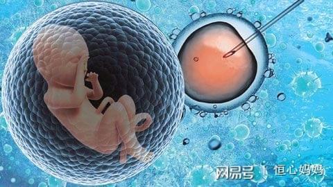 IVF实验室